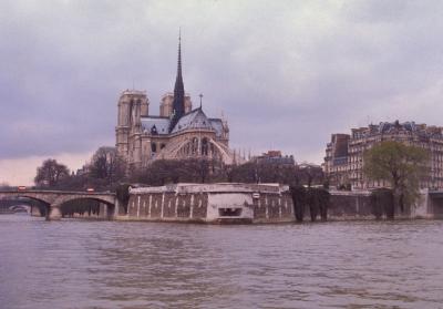 Notre Dame de dos faded.jpg