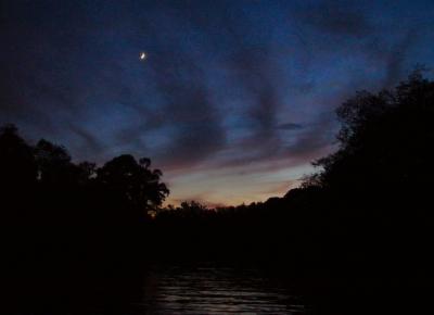 Edisto River at dusk