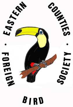 logosmall.jpg
