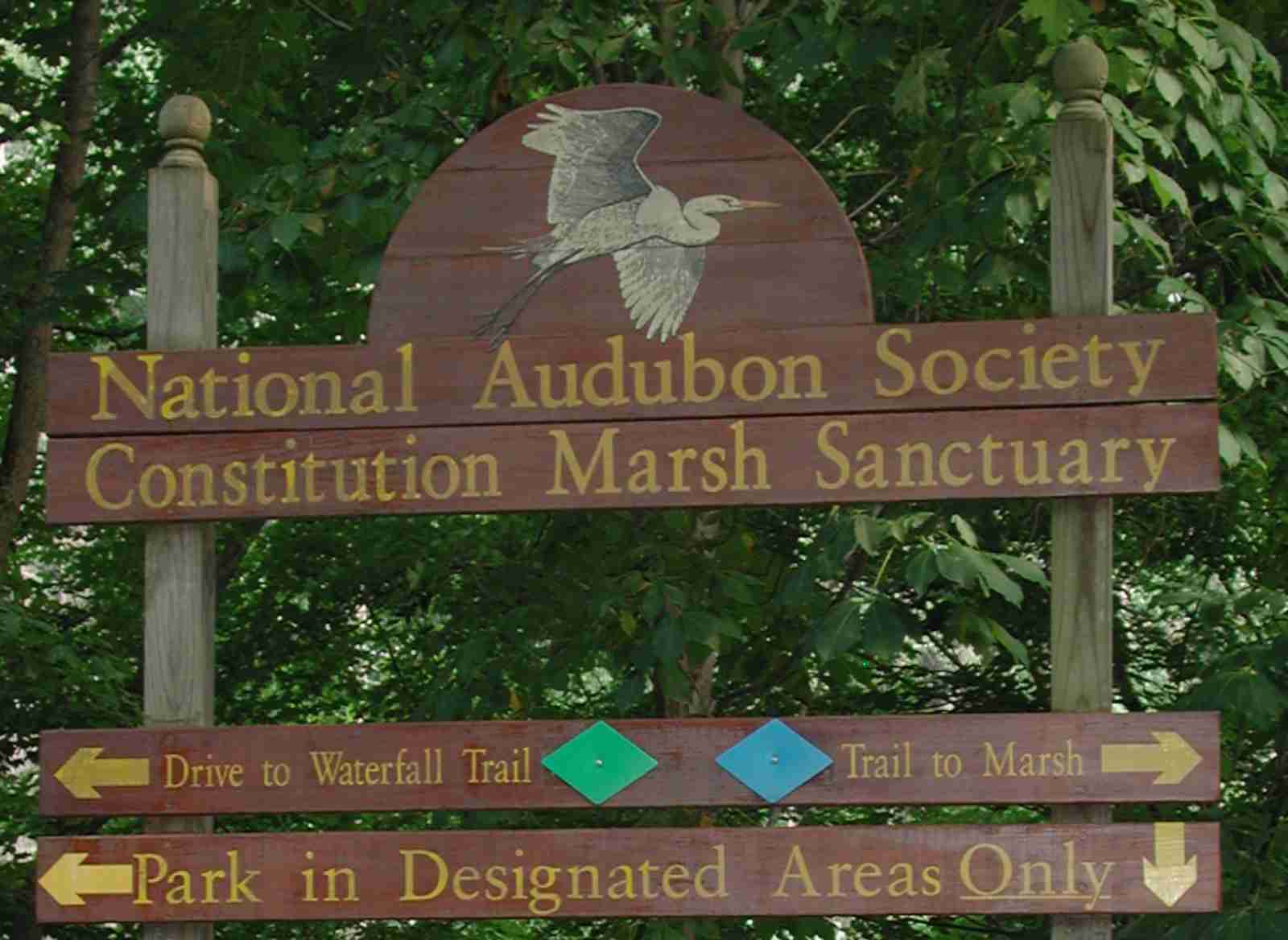 Constitution Marsh 81405a.JPG