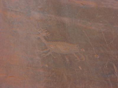 C-Moab-KaneCreek site1.JPG
