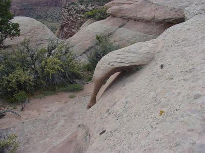Grand Junction