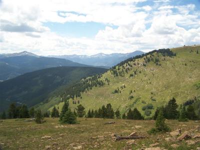 Colorado 035 (Medium).jpg