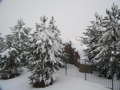 First Snow Winter 2005