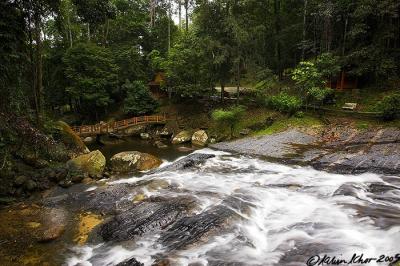 Hutan Lipur Bukit Hijau, Kedah