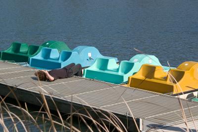 v3/34/19634/3/44093515.PaddleBoats.jpg