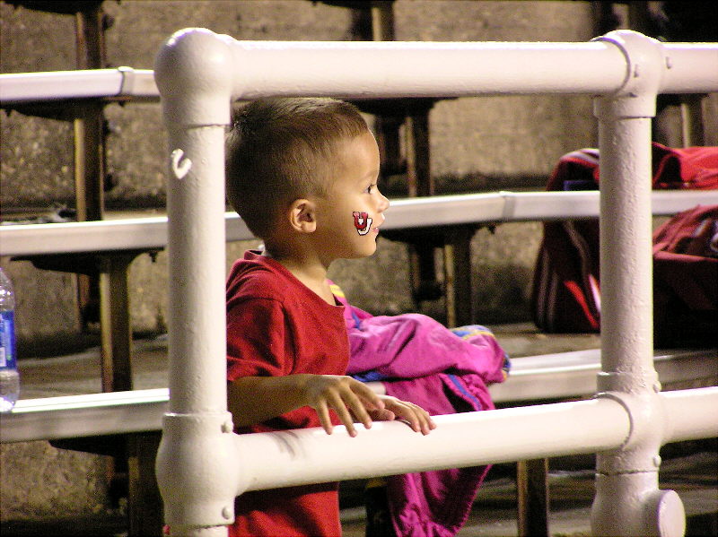 Young Utah Fan