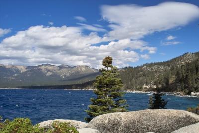 IMG03205.jpg