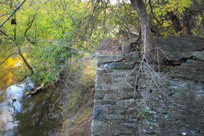 IMG03945.jpg Goose Creek old bridge stonework, tree (see notes)