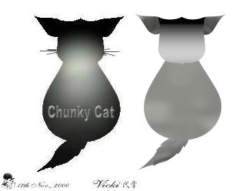 My Drawing ~ Chunky CAT