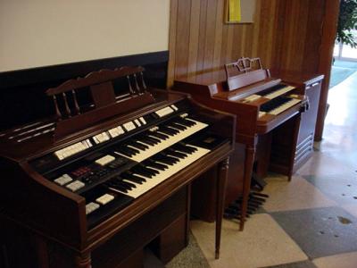 organ