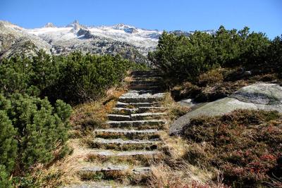 Steps to the snowy mountains