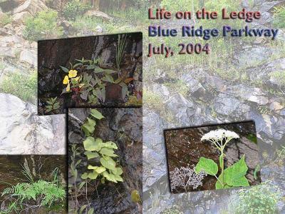 Jana U.'s Life On The Ledge