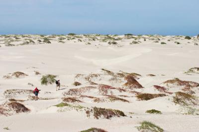 Dune Hikers.jpg
