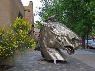 Museum of Fine Arts - Horse Head