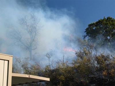 Flames Near Our Carport