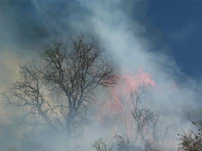 Novato Hill Fire on June 20, 2005