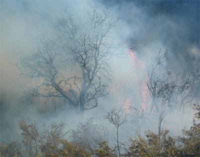 Another Shot of Flames