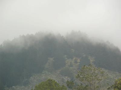 v3/34/494634/3/45523678.05FoggyHills.jpg