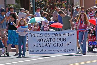 Pugs on Parade