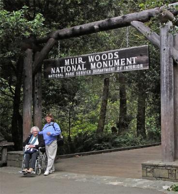 Welcome to Muir Woods