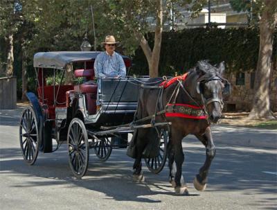 Horse & Buggy In Old Town