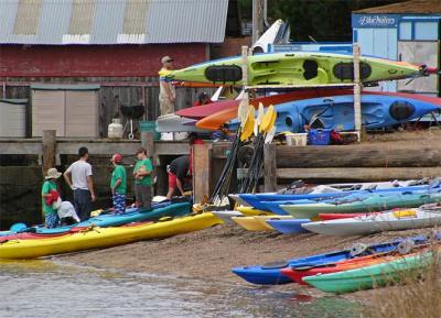 Kayaks at Marshall