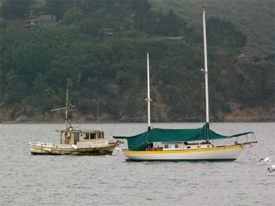 Yellow and Green Boats