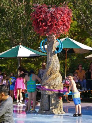 Hoop Tree In Splash Garden