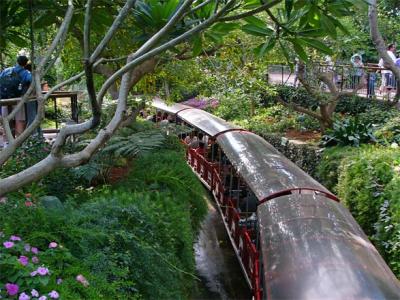 Train through Monarch Garden