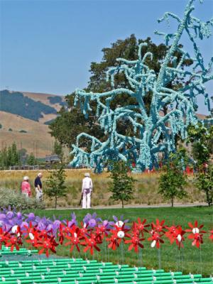 Windmills & Blue Ball Tree
