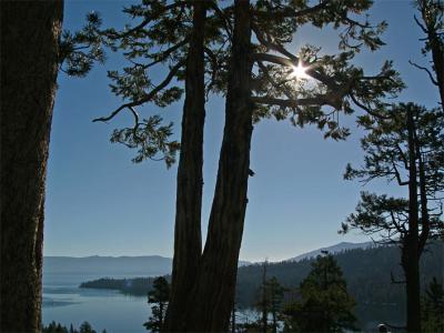 v3/34/494634/3/51821867.06SunstrEB.jpg