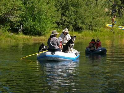 Raft with Dogs