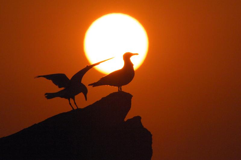Sunset at Cte Sauvage, Quiberon (Bretagne)
