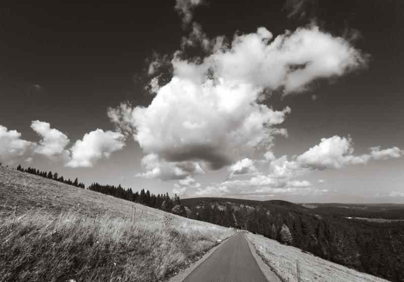 Cumulus over Black Forest