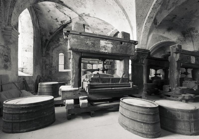 Lay Brothers Refectory with Ancient Presses, Kloster Eberbach, Eltville