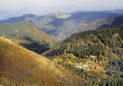 Fall in Black Forest: View from Feldberg