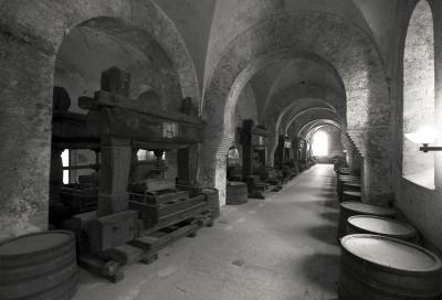 Lay Brothers' Refectory with Ancient Presses