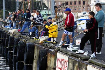 Fishing for Mackerels at the Harbour of Douarnenez