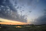 Evening light in De Alde Feanen, Netherlands