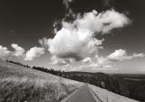Cumulus over Black Forest