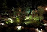 Pond at Night