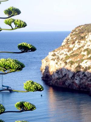 minorka cala'n porter_02