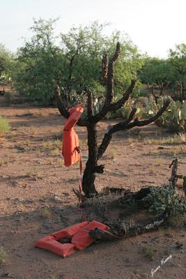 Life Jackets in the Sonoran Desert?