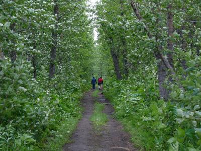 p1000584.jpg