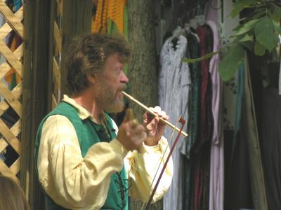 Irish Troubadour