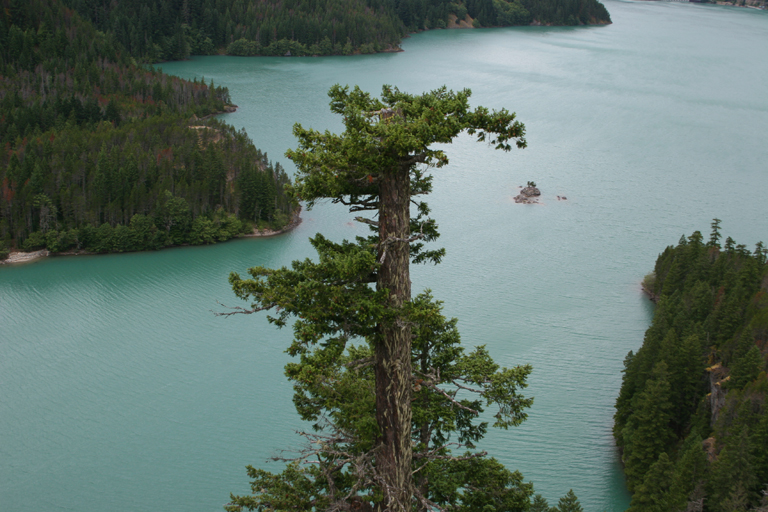 Diablo Lake