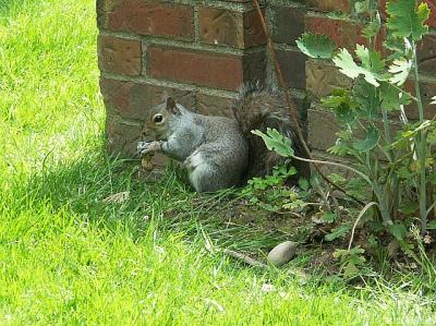 2005-06-01 Snacking