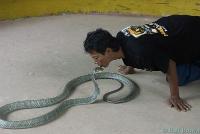 2005-09-17 Snake-Charmer