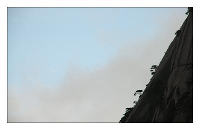 DSC_9170.jpg